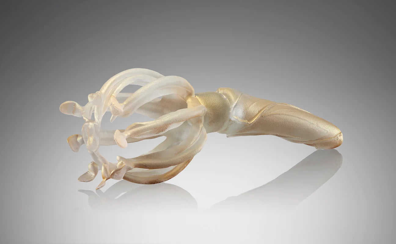 Sculpted By Nature: Glass Art as a Voice for Earth's Flora